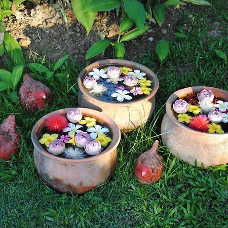 Baan Chai Thung Resort Дойсакет Экстерьер фото