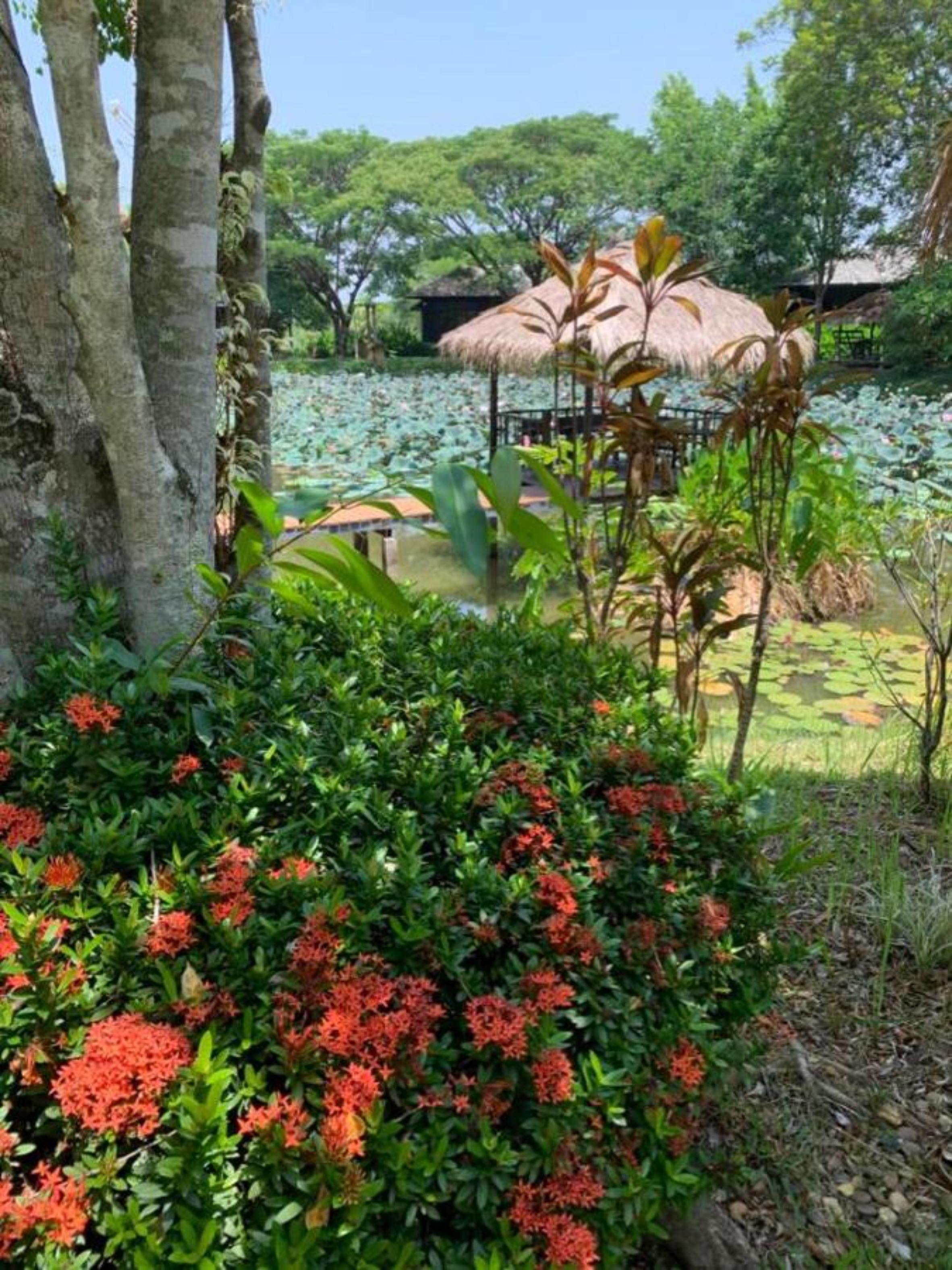 Baan Chai Thung Resort Дойсакет Экстерьер фото